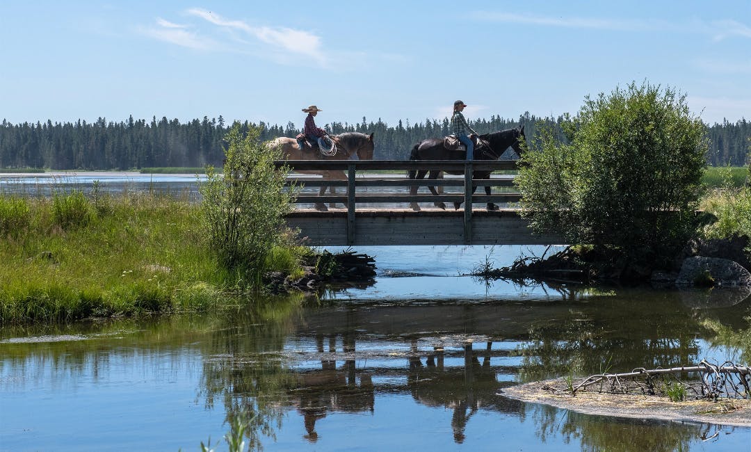 Horseback riding in Harriman State Park in Island Park, Idaho, a part of Yellowstone Teton Territory.