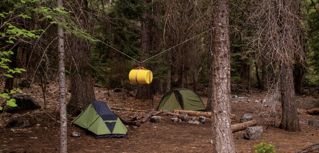 Bear pole at a campsite in Eastern Idaho, a part of the Yellowstone Teton Territory.