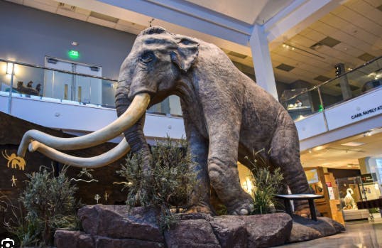 The Museum of Idaho in Idaho Falls, a part of Eastern Idaho and Yellowstone Teton Territory.