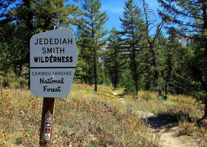 Jedidiah Smith Wilderness in Caribou Targhee National Forest in Yellowstone Teton Territory's Eastern Idaho.