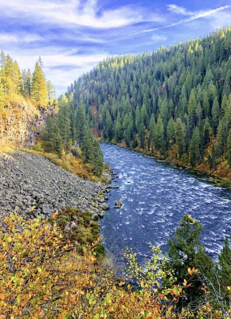 The Henry's Fork of the Snake River in Island Park, ID, a part of the Yellowstone Teton Territory.