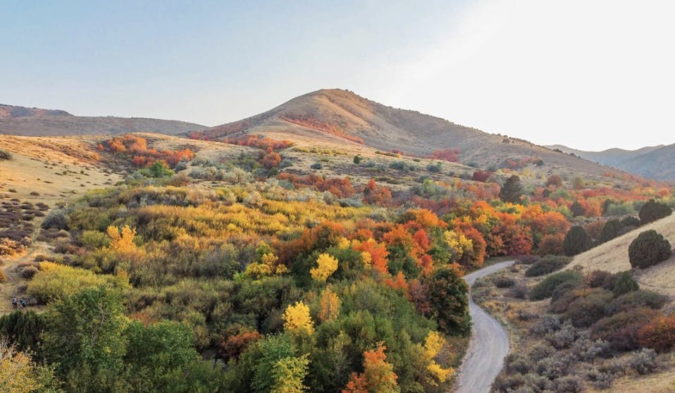 Fall colors in Clark County in Yellowstone Teton Territory.