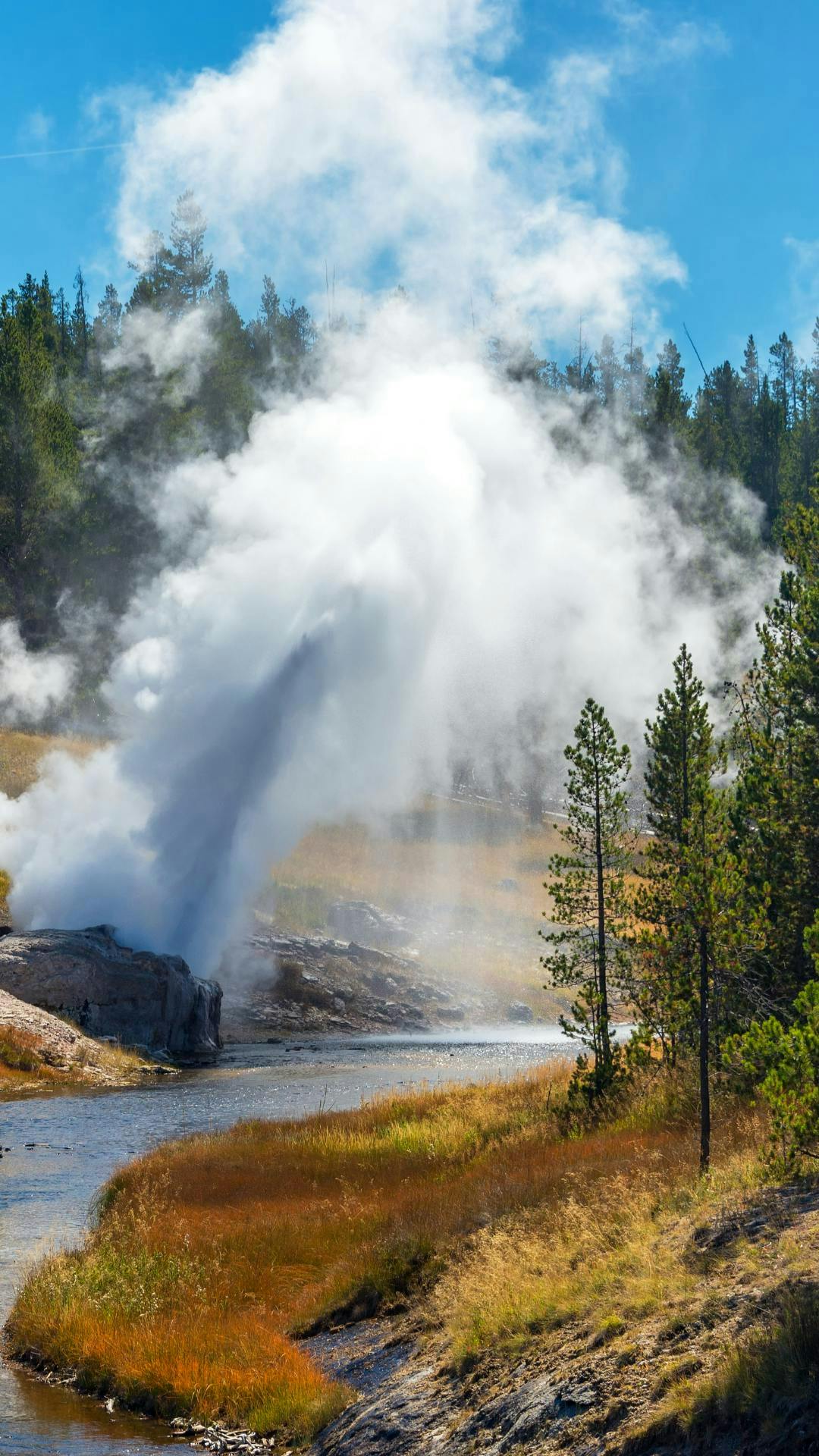 A geyser goes off in Yellowstone National Park, a part of the Yellowstone Teton Territory.