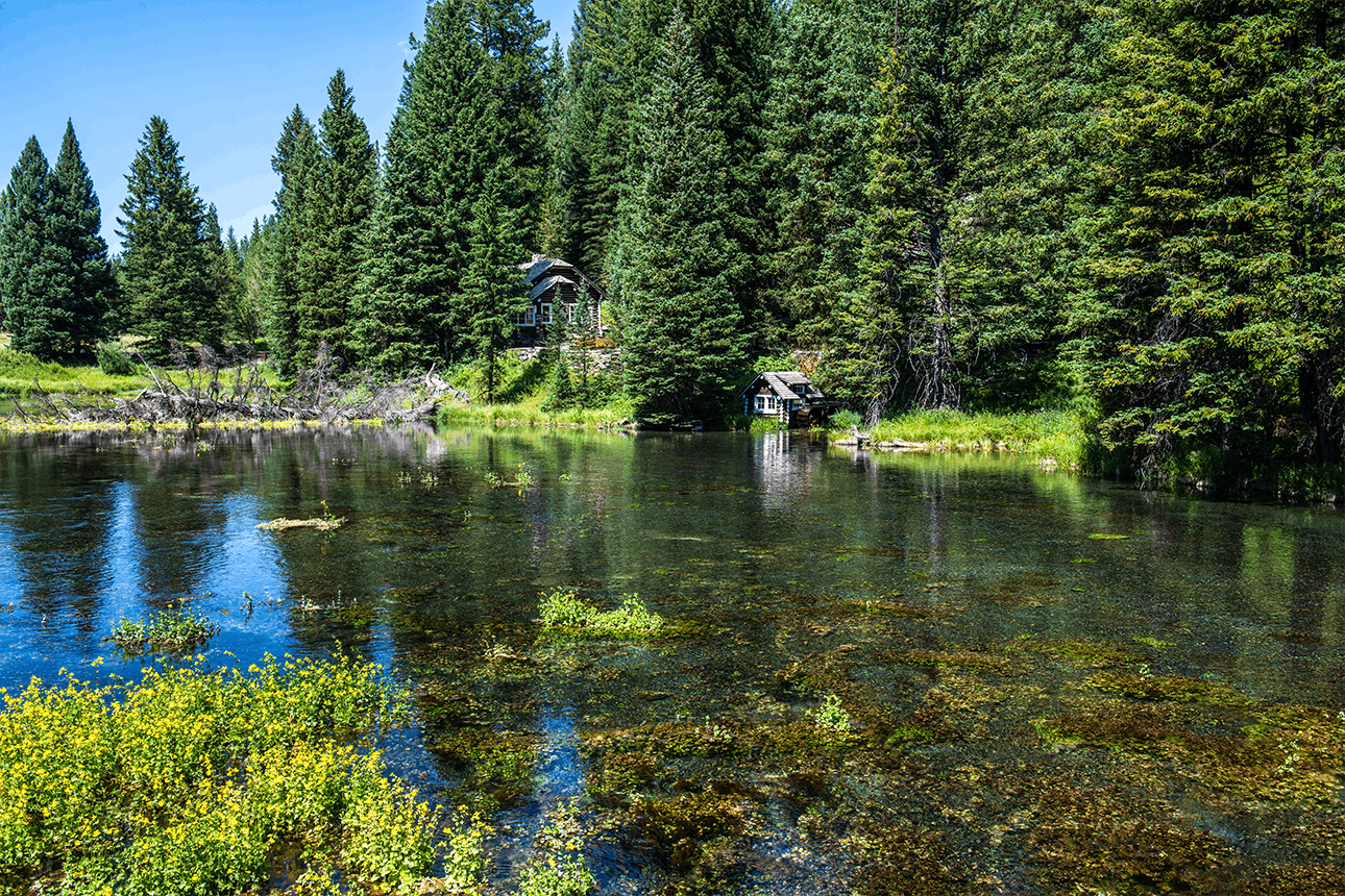 Swimming in Henry's Lake at the State Park in Island Park in Idaho, a part of Yellowstone Teton Territory.