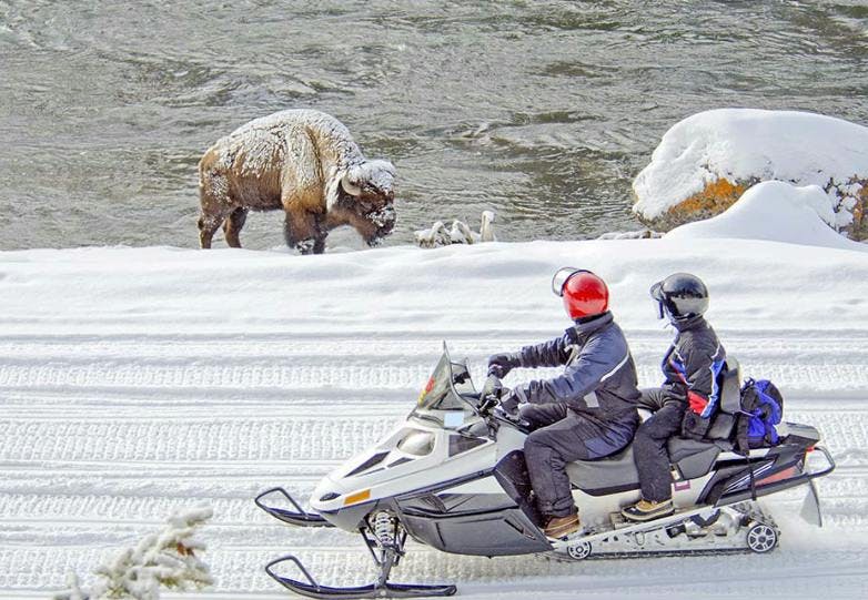 Source: BrushBuck Wildlife Tours. Snowmobilers watching a bison along the river in Yellowstone National Park. 